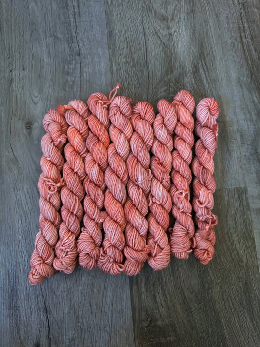 Winterglow on Martha DK (20g minis)